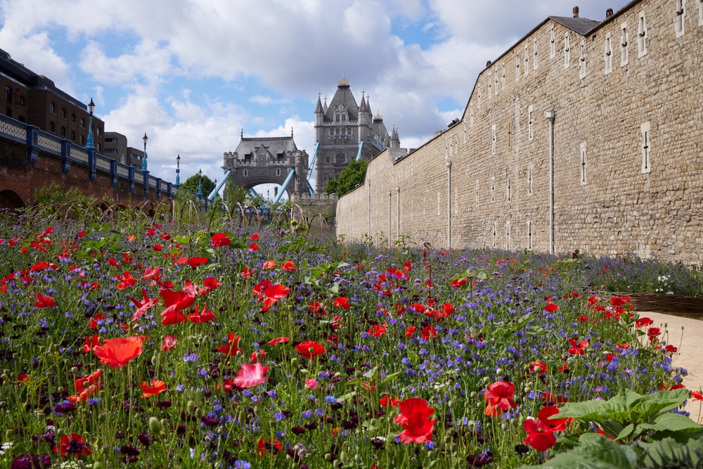 Tower Of London Superbloom Berrys Coaches West Country Coaches