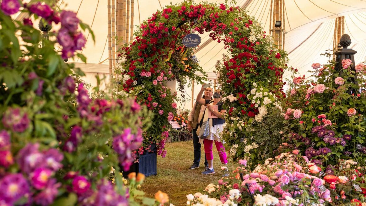 one day coach trips to hampton court flower show